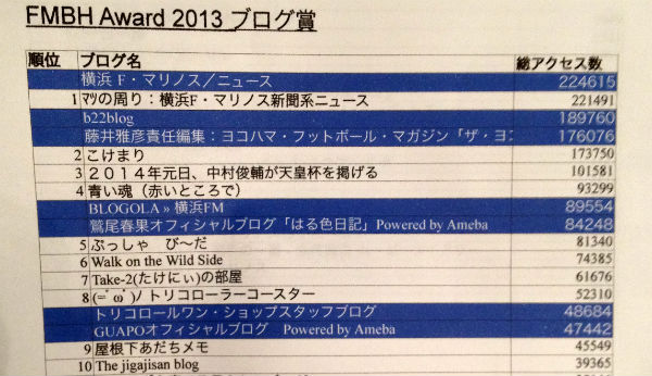 report-fmbh-award-2013-01