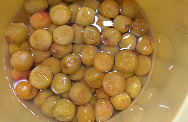 ロコさぬの梅仕事2015（その2）～消える塩、増える梅酢。