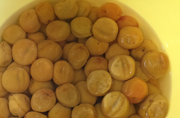 ロコさぬの梅仕事2015（その2）～消える塩、増える梅酢。