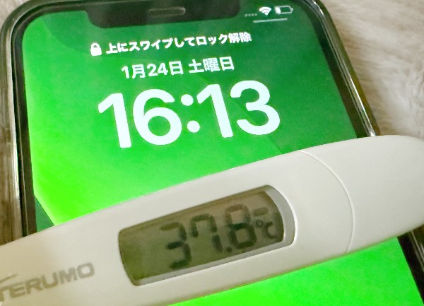 本日は、ブログ「こけまり」はお休みです。